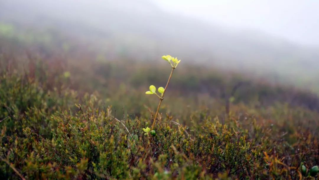 來爸媽在線學(xué)習(xí)后,我孩子的終生大事問題解決了! 來爸媽在線學(xué)習(xí)后,我孩子的終生大事問題解決了!
