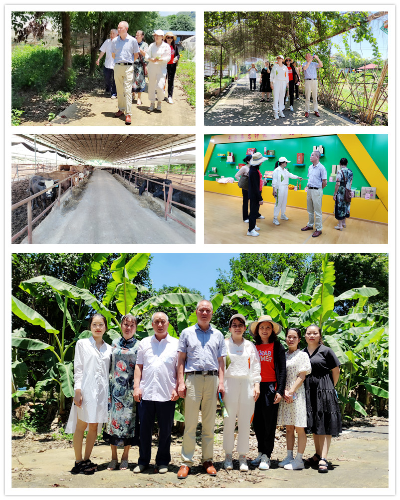 1731825088939291.jpg 1623381159931006.jpg