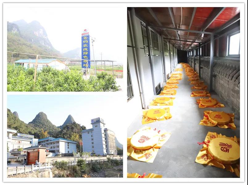 1731826230241664.jpg 1617610582554870.jpg