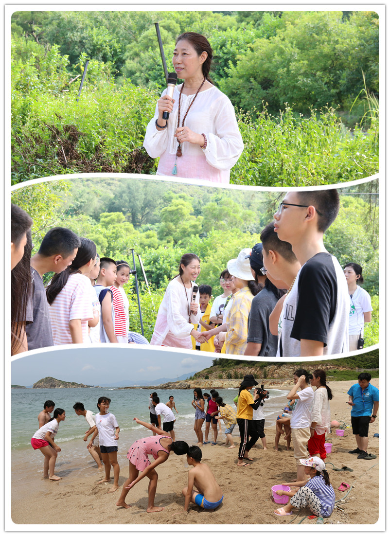 1731974980249886.jpg 1566264168781527.jpg