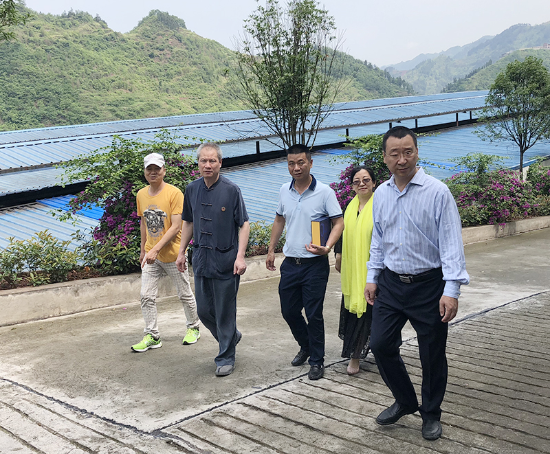 1526955754807805.jpg 1526955754807805.jpg