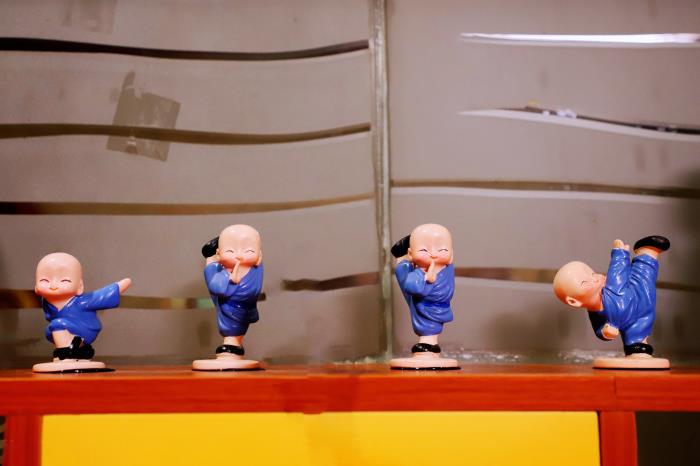 1735615518819633.jpg IMG_6040.JPG