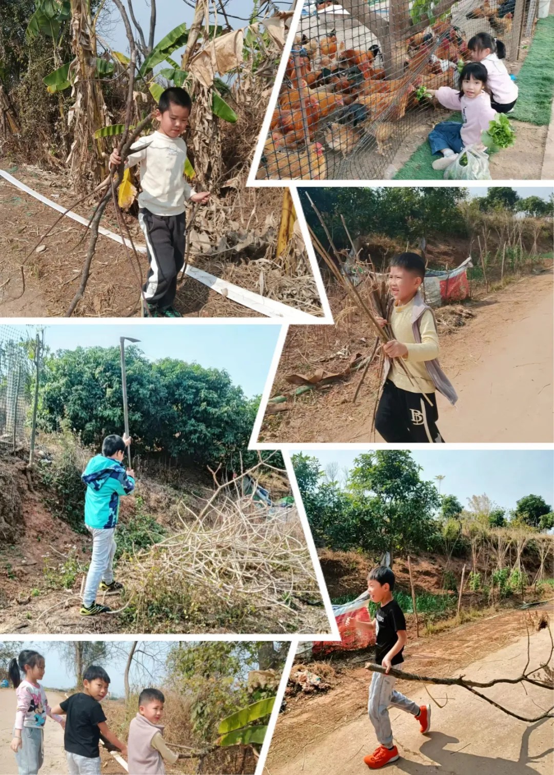 1739756099894406.jpg 1739756099894406.jpg