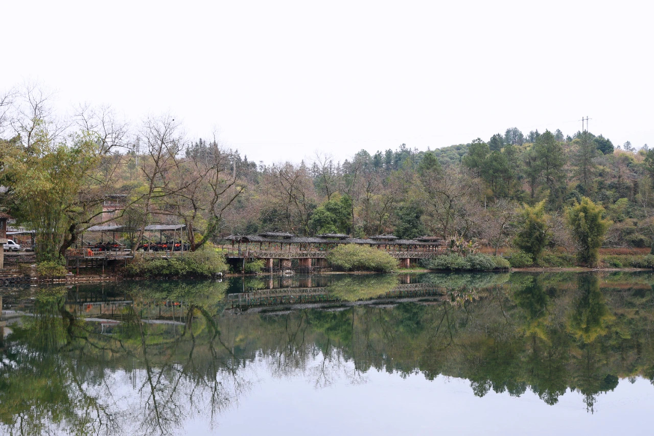 1740183557682982.jpg 1740183557682982.jpg