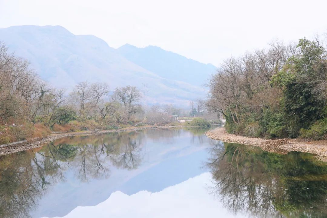 1741394186574959.jpg 1741394186574959.jpg