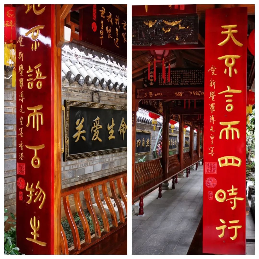 1742690109864637.jpg 1742690109864637.jpg