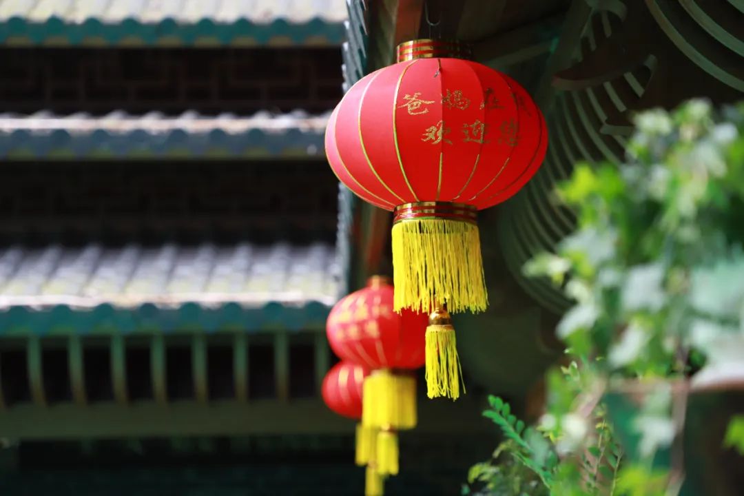 1742690148208257.jpg 1742690148208257.jpg