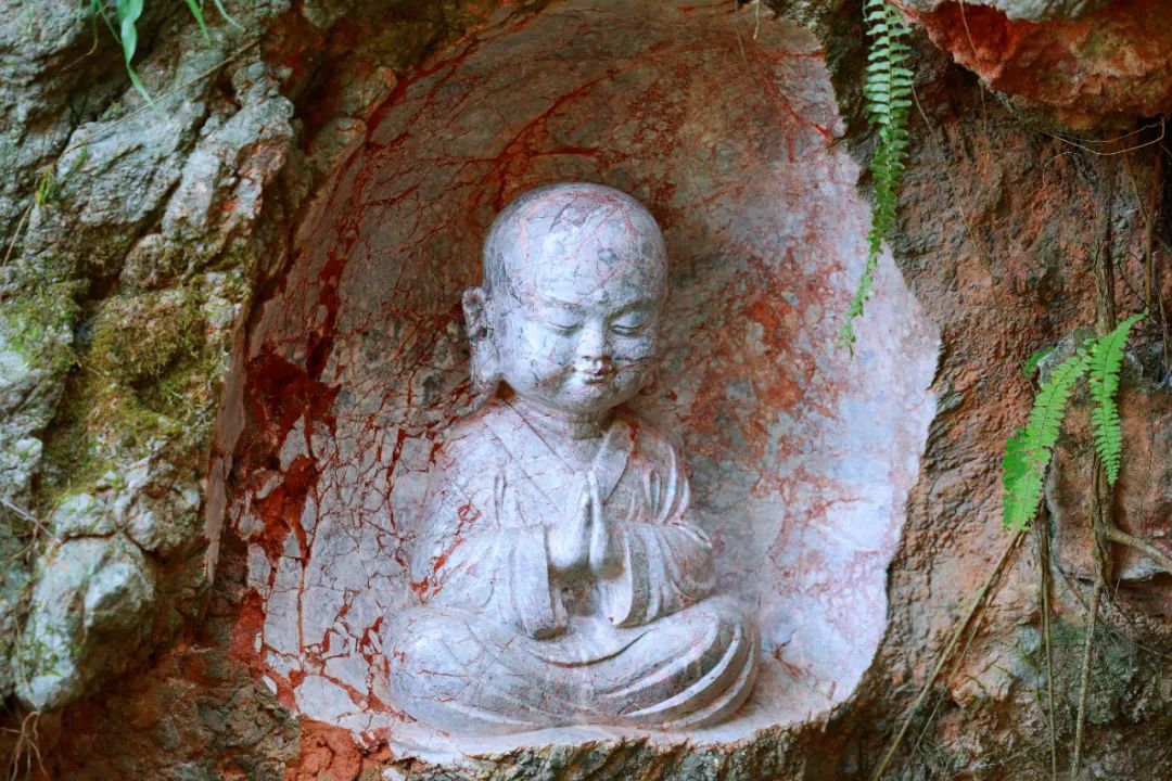 1744071904350696.jpg 1744071904350696.jpg