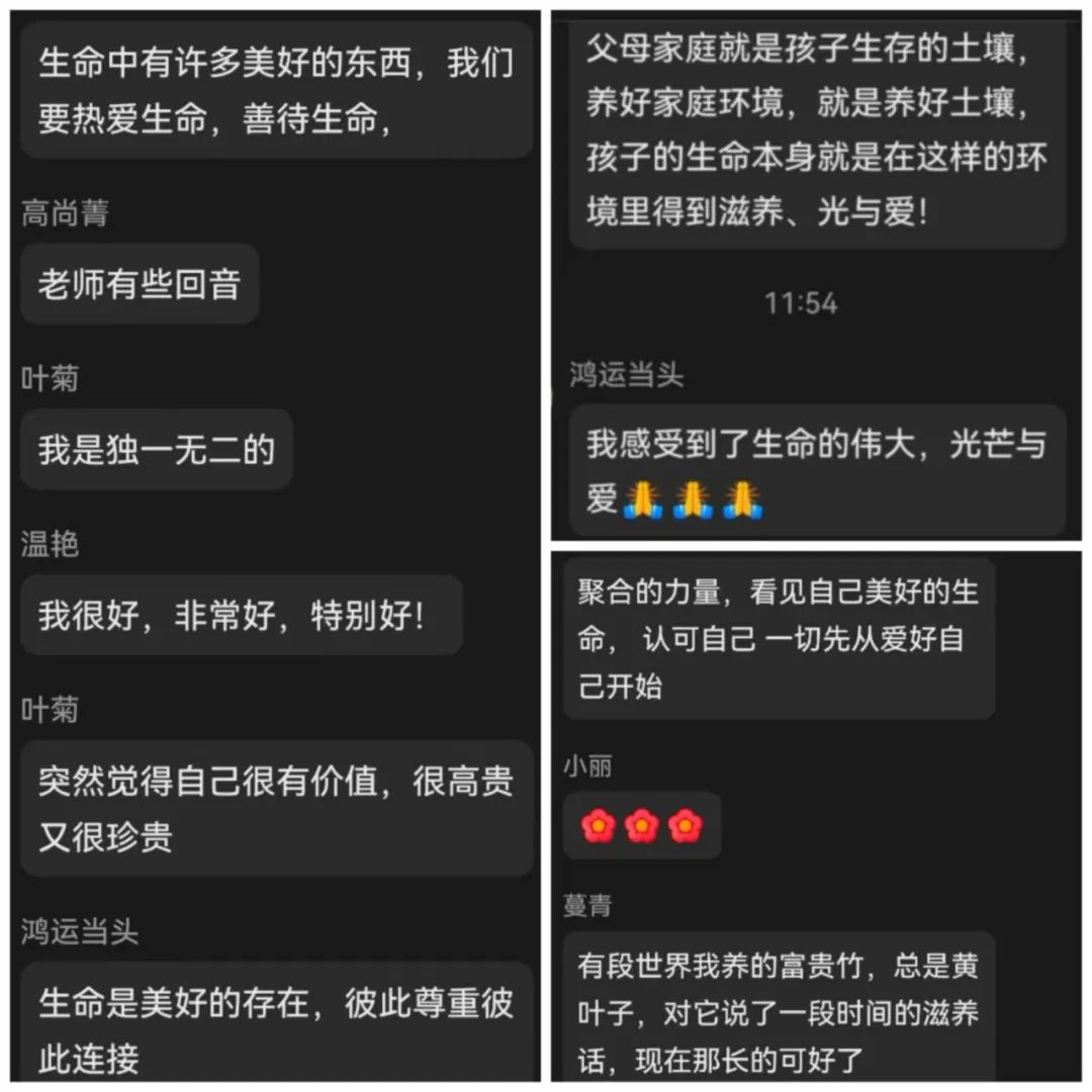 1744074116122227.jpg 1744074116122227.jpg