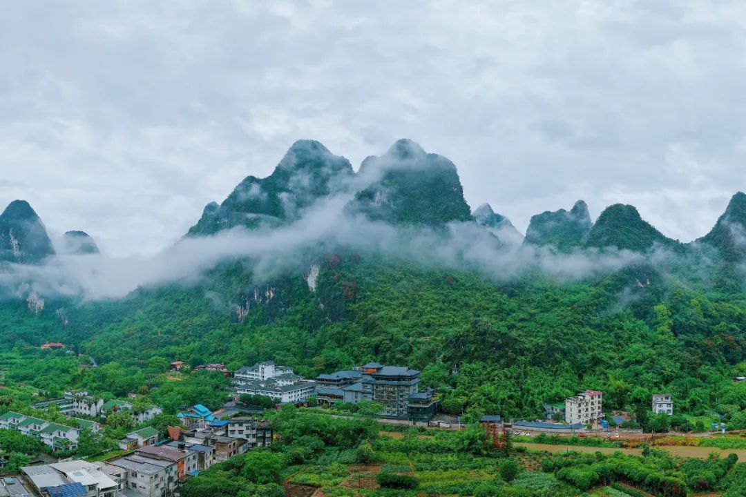 1749632010253715.jpg 1749632010253715.jpg