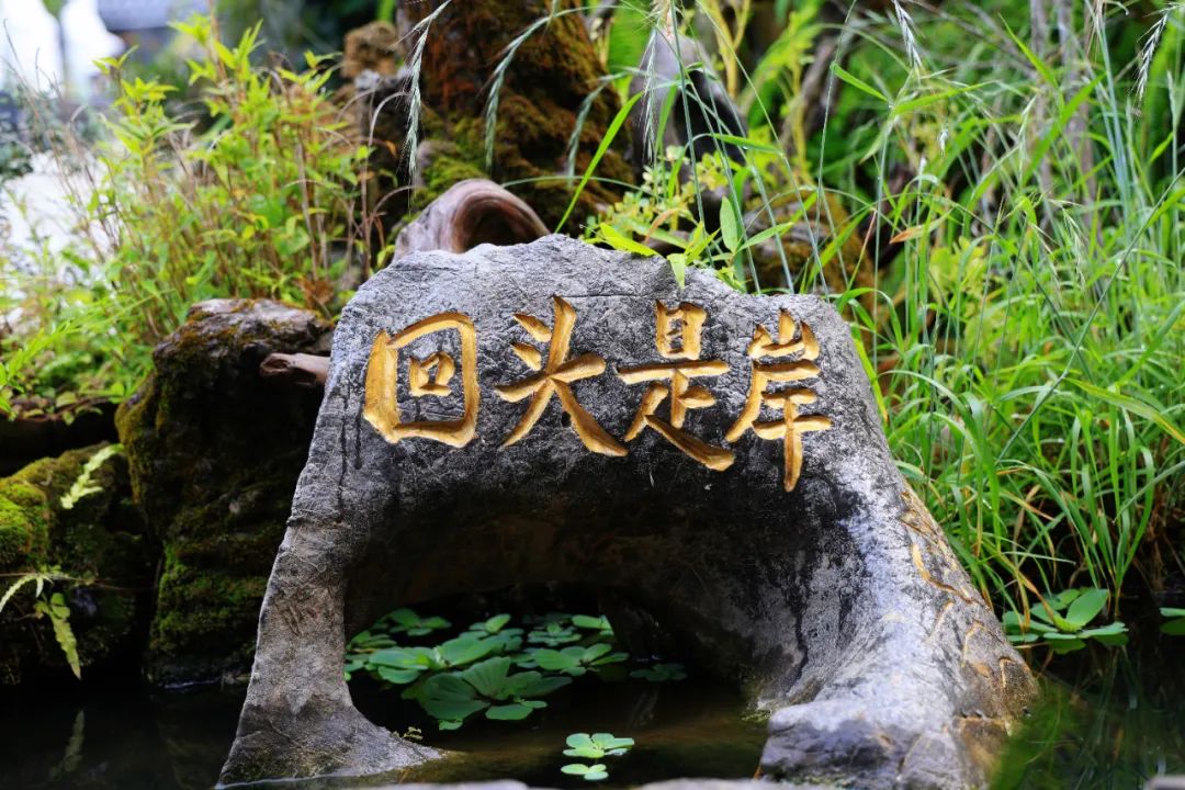 1751240915886626.jpg 1751240915886626.jpg