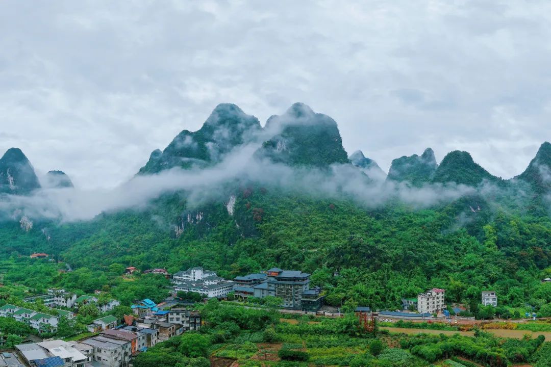 1751243412116271.jpg 1751243412116271.jpg