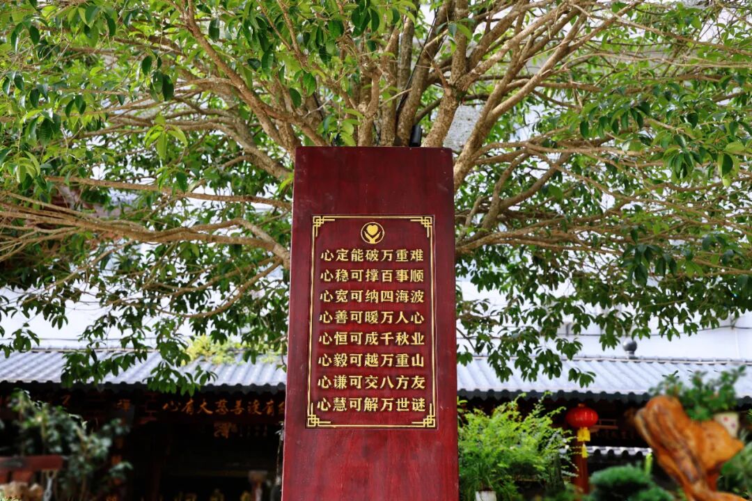 1757376825388146.jpg 1757376825388146.jpg