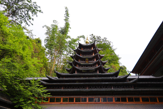 1757550892362456.jpg 4R6A9951.JPG